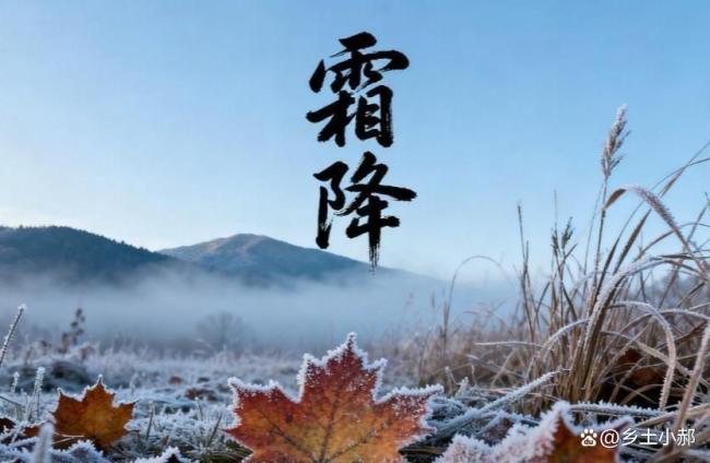 今日霜降不一般 听听谚语怎么说