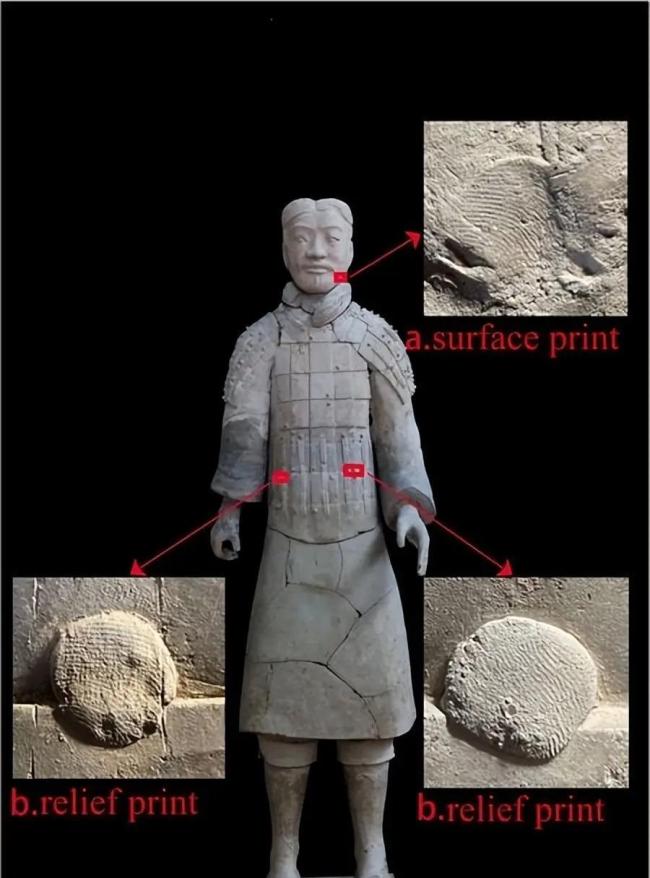 秦兵马俑上发现女性指纹 揭秘古代工匠身份