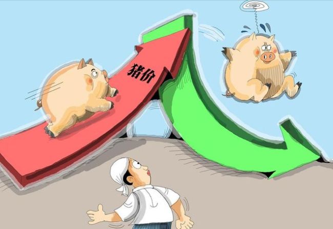 猪价下跌拦不住!月末“枯木逢春”?
