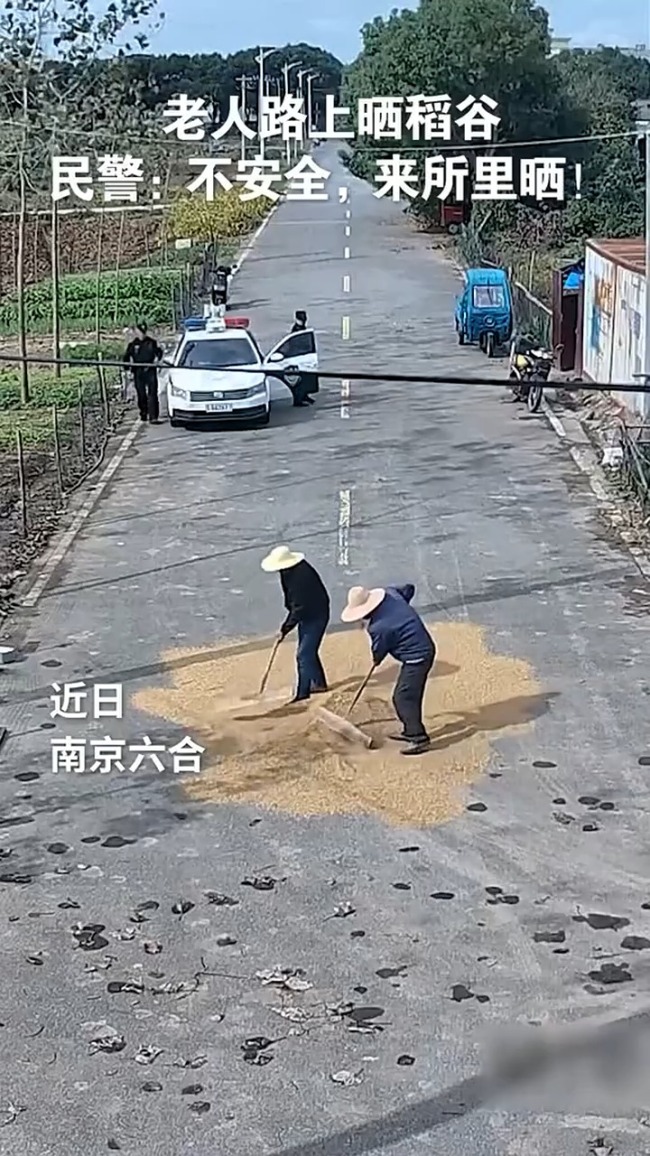 民警邀请2位晒稻谷老人到派出所大院里晒