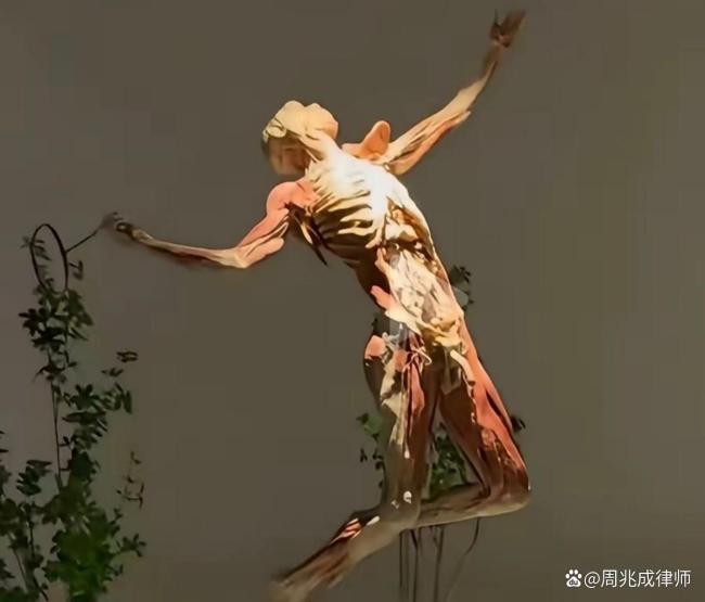 戏谑大体老师透支捐献善意 尊重与伦理底线何在