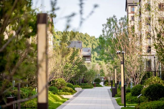 金茂墅以山湖现墅和鸣城市自然山水致敬济南塔尖人居理想