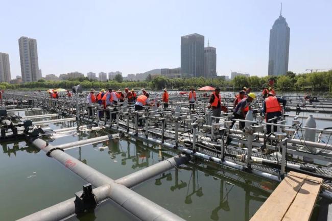 这就是山东·枣庄 |升级改造的新地标——凤鸣湖大型水幕喷泉即将"
