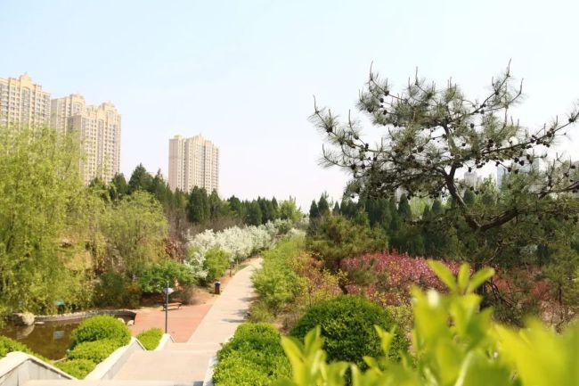 将城市繁华与自然诗意相融,济南山水泉城四期真正实现"公园里的家"