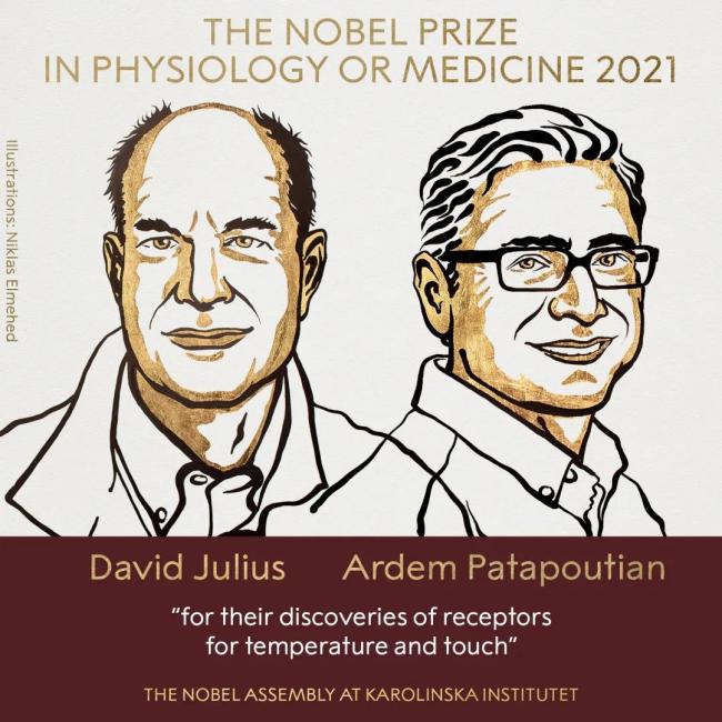 2021年诺贝尔生理学或医学奖揭晓！研究与你有关