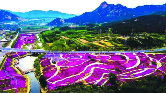 威海市文登区界石镇六度寺村——绿水青山间的"逆袭"_山东站_中华网