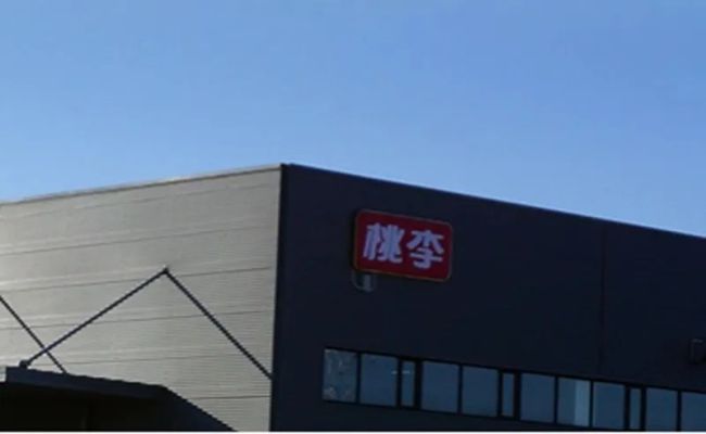 开云 开云体育APP“面包第一股”桃李面包经历内外夹击“增收不增利”成为现实