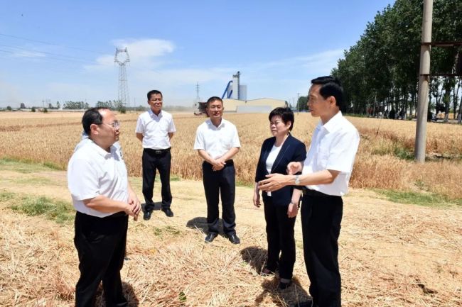 菏泽市委副书记、市长张伦到巨野县调研“三夏”生产和乡村振兴工作