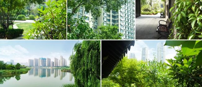 济南云锦公园 (1).jpg 图片