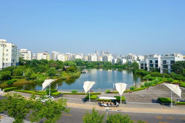 山海大象·日照教授花园三期,山水龙庭双盘联动,推出多套联排/独栋