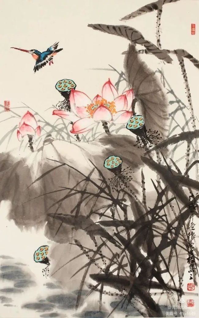图片
