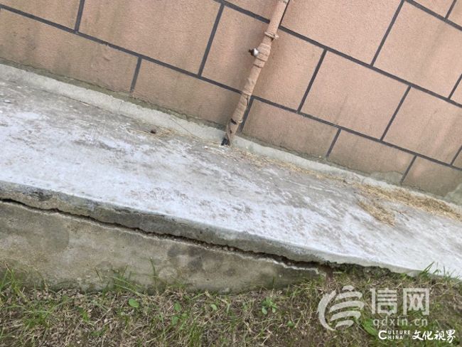 楼5.jpg