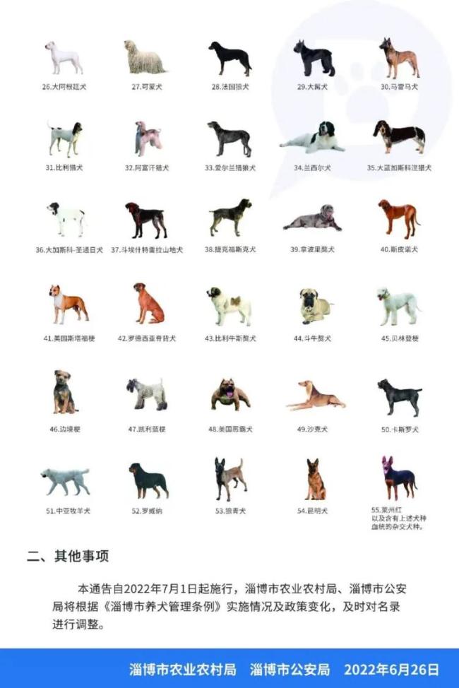 这55种烈性犬,淄博市重点管理区禁养!