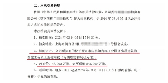 贵人鸟3.jpg