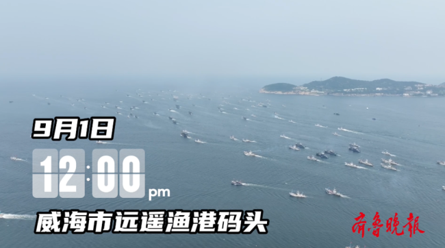 金秋开海，威海海鲜“鲜”动山东省城