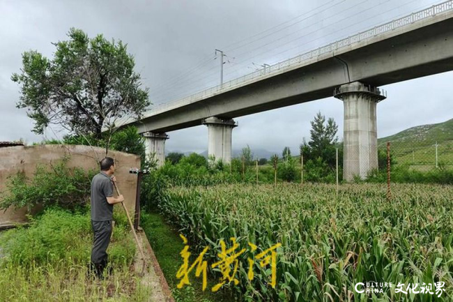 种猪场因高铁建设被迫倒闭，场主称损失超千万，施工方仅答应补偿5万元