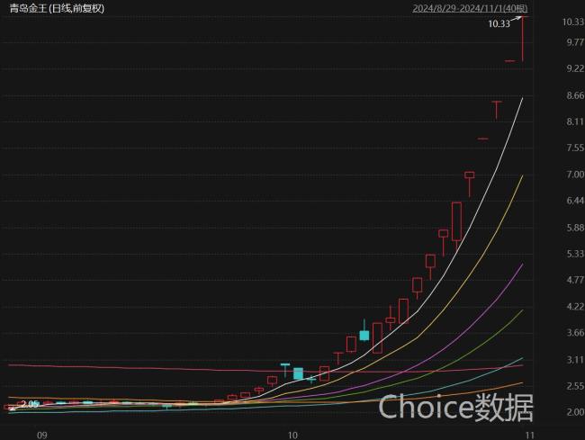 青岛金王“16天13板”，期间累计涨幅达284.01%。来源：Choice