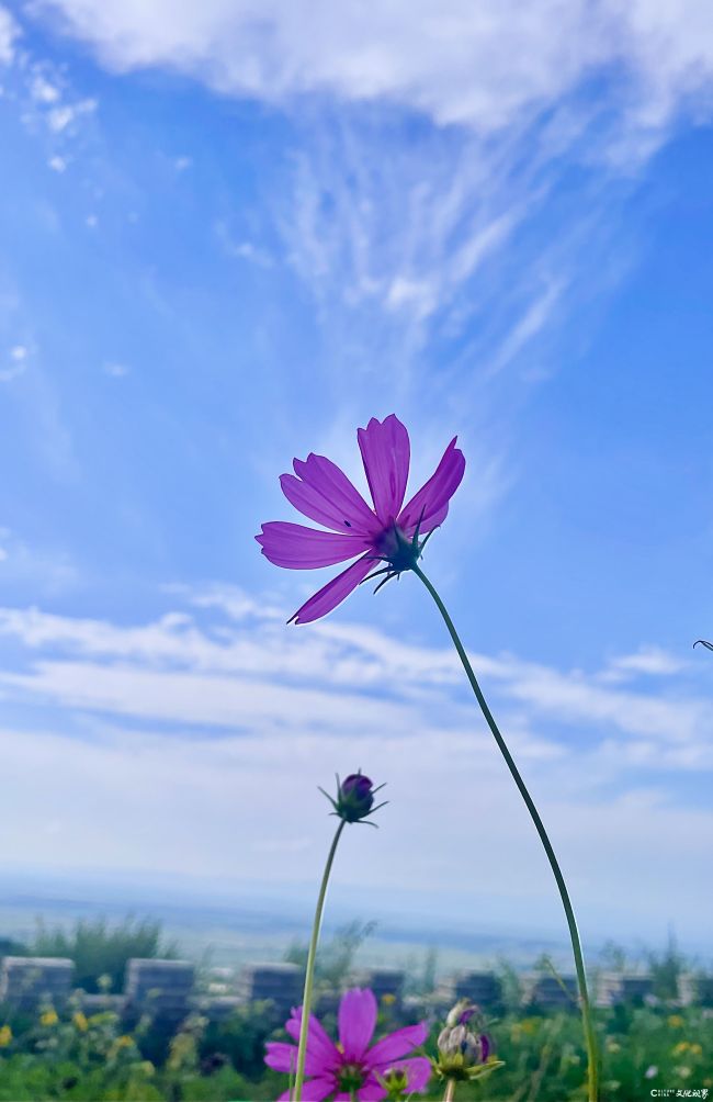 f52cc7c28bdf2f7837db4ad16eacdcf.jpg