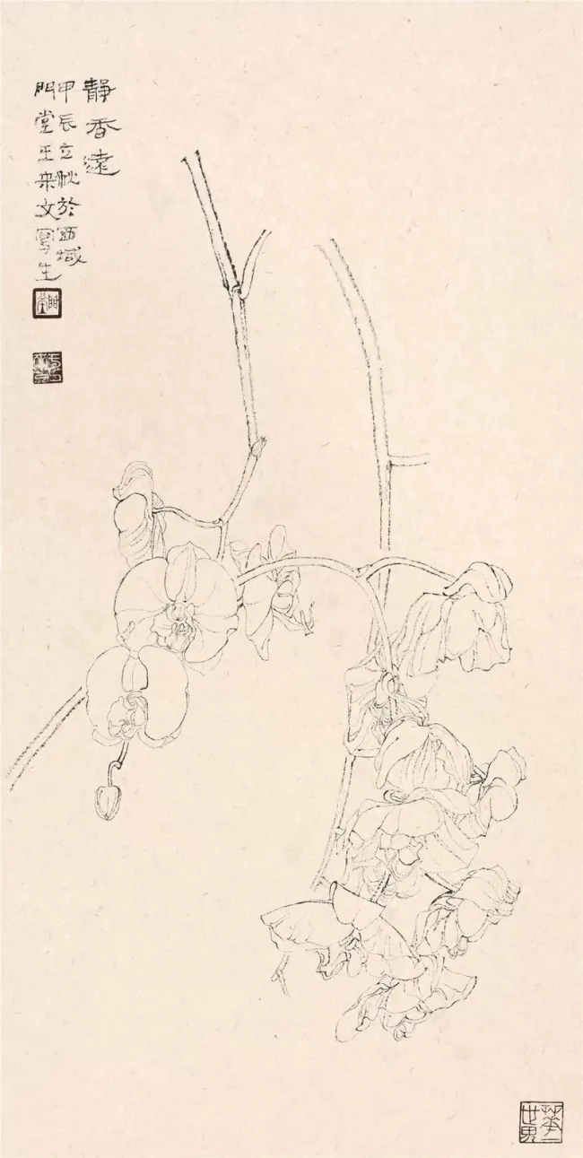 白描见性——王来文笔下的植物生命与独立品格