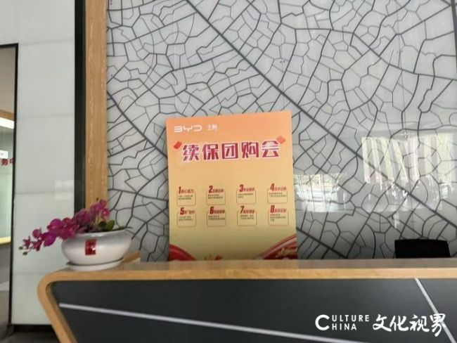 比亚迪3.jpg
