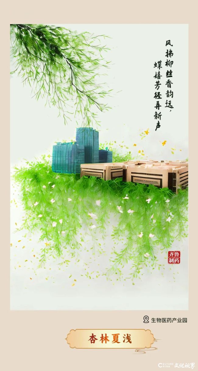 齐鲁4.jpg