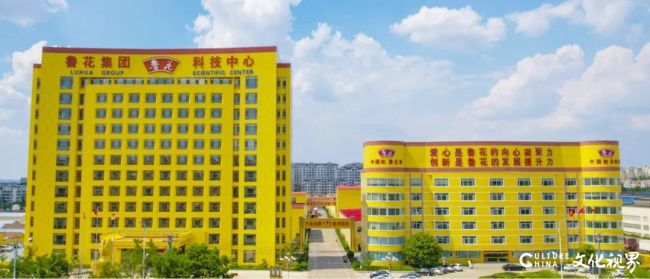 鲁花1.jpg