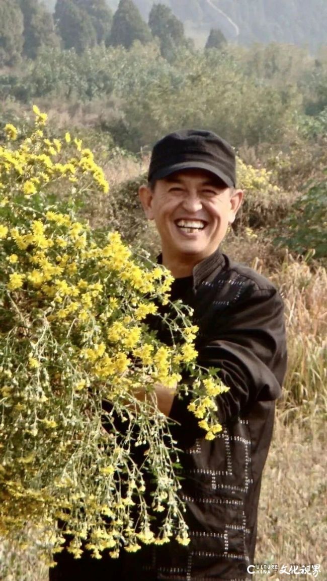 岳海波丨不必挣扎与纠结，自然而然才是生活的最终法则