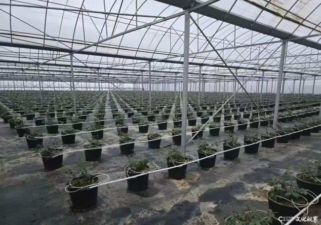 涉农贷款余额突破3600亿元——山东工行信贷资金精准直达，全力护航“三秋”生产