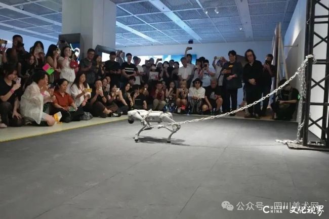 20251013113631228761.jpg 19.jpg