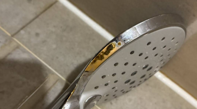 女子入住酒店洗完澡发现花洒上有粪便?全季酒店换房间后称“房费可退”