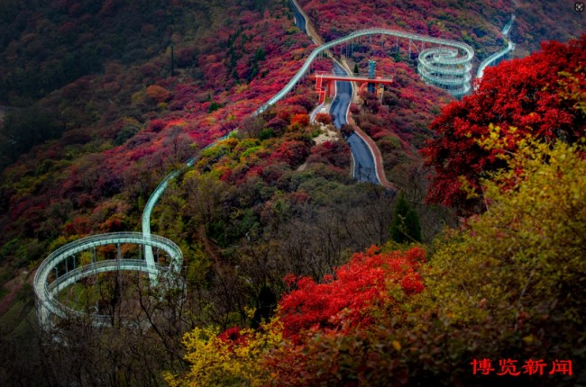 红叶为笔、山水为卷，淄博这些景区藏着浓墨重彩的秋天
