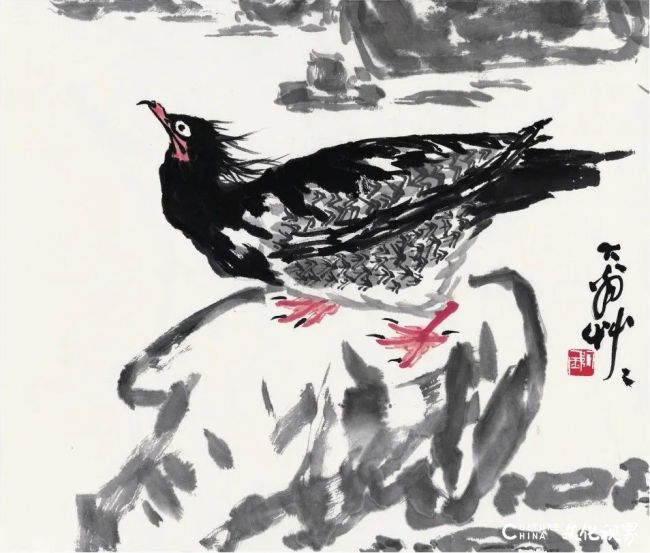 20251024095558845172.jpg 17.jpg