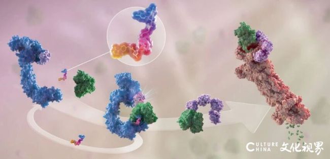 齐鲁制药PROTAC降解剂QLH12016有望重塑mCRPC治疗格局