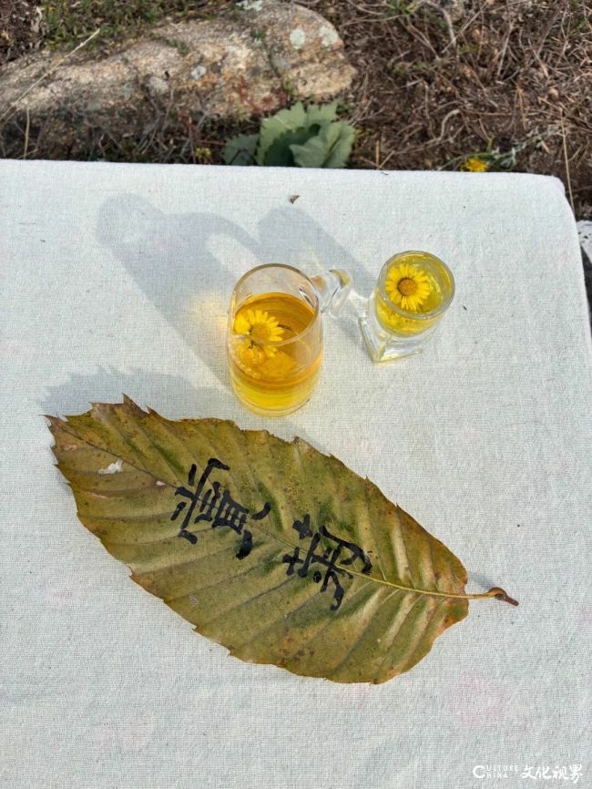 20251101105741457284.jpg 5~1.jpg