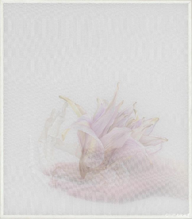 20251103093638948217.jpg 2~1.jpg