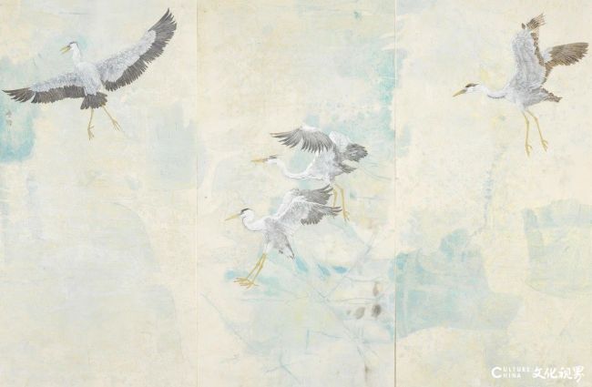 20251106112359146646.jpg 29.jpg