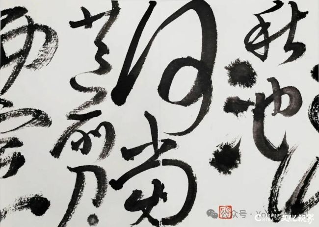 20251113103947183136.jpg 19~1.jpg