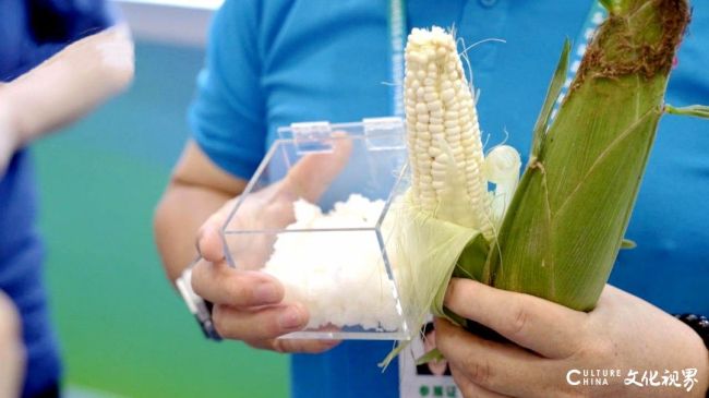 20251111145043945608.jpg 15.jpg