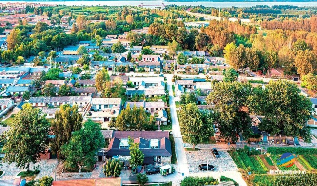 水集街道“四大路径”奏响城乡共富音