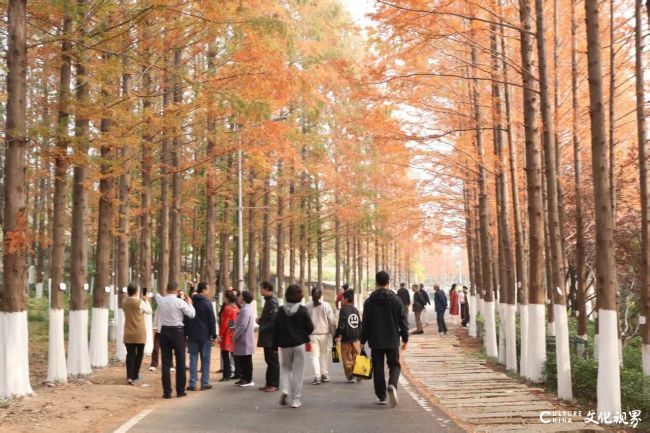 20251116142920824536.jpg 3.jpg