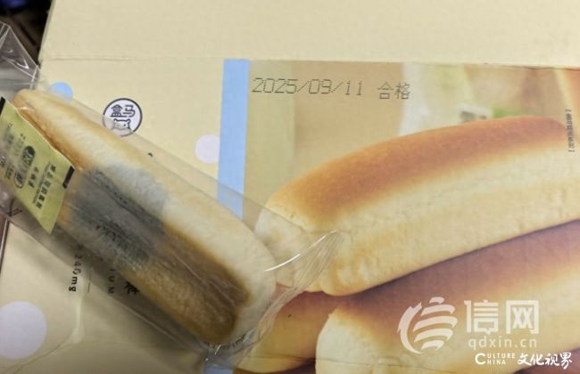 天天3·15 | 盒马高钙面包棒“高概率”发霉 网友纷纷晒出黑斑照