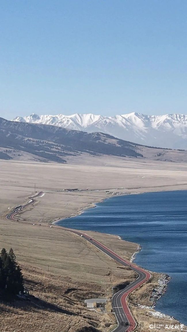 20251120103356961695.jpg 95.jpg