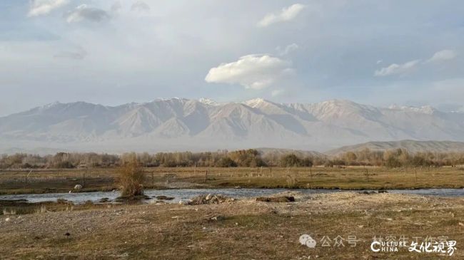 20251120102820731131.jpg 53.jpg