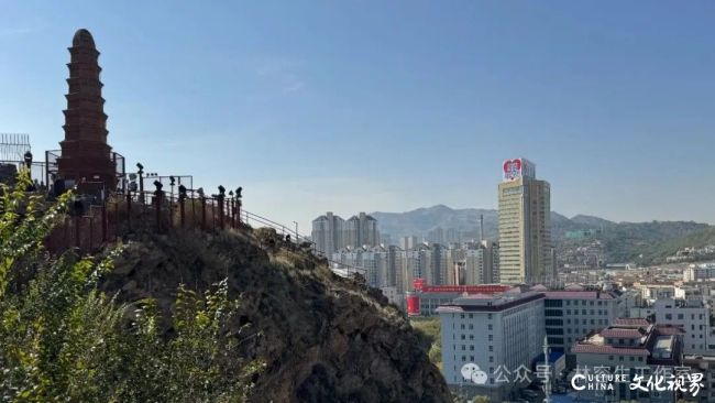 20251120103326427865.jpg 91.jpg