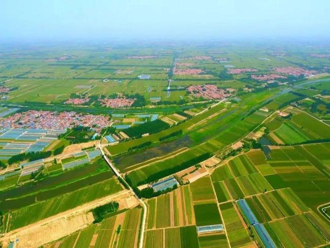 济南商河:以产业为笔,绘就农业强农村美农民富新图景