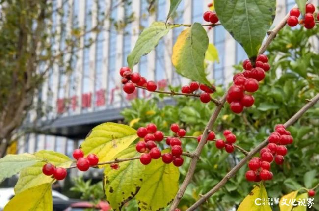 20251209141418928973.jpg 5-69.jpg