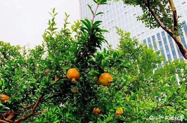 20251209141436714150.jpg 5-70.jpg