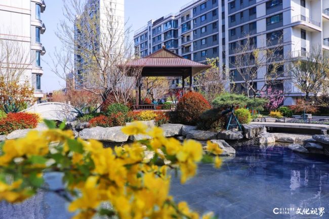 20251211093207423412.jpg 5.jpg