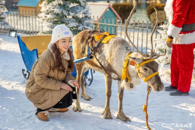 20251211155555946296.jpg 21.jpg