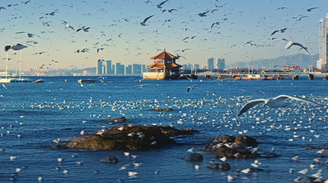 鸥影伴温泉，商圈连市井，青岛让冬日消费“暖”起来“火”起来